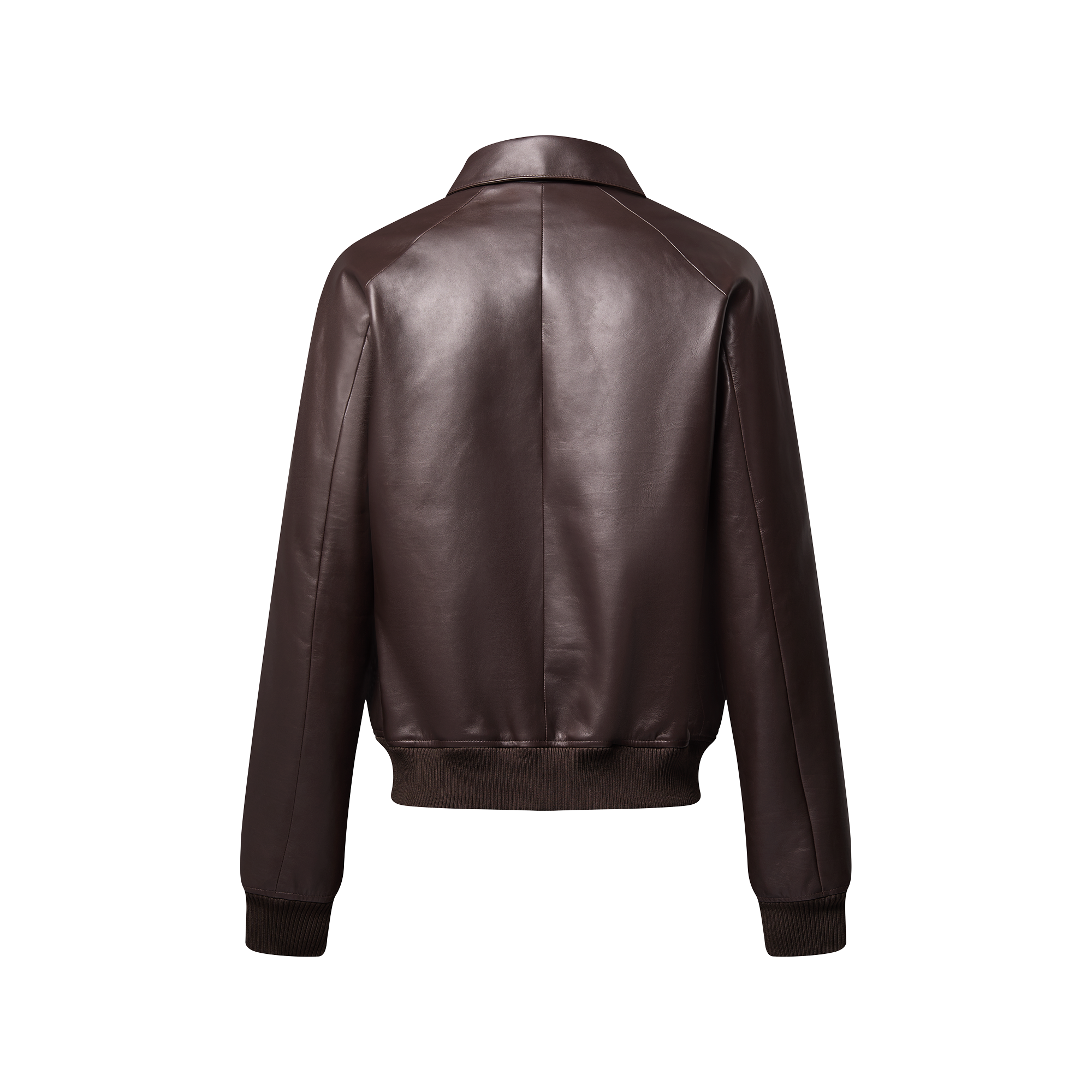 Elegant Leather Bomber - For Men | LOUIS VUITTON